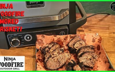 Can I actually make restaurant-quality smoked brisket on this Ninja Woodfire Grill?